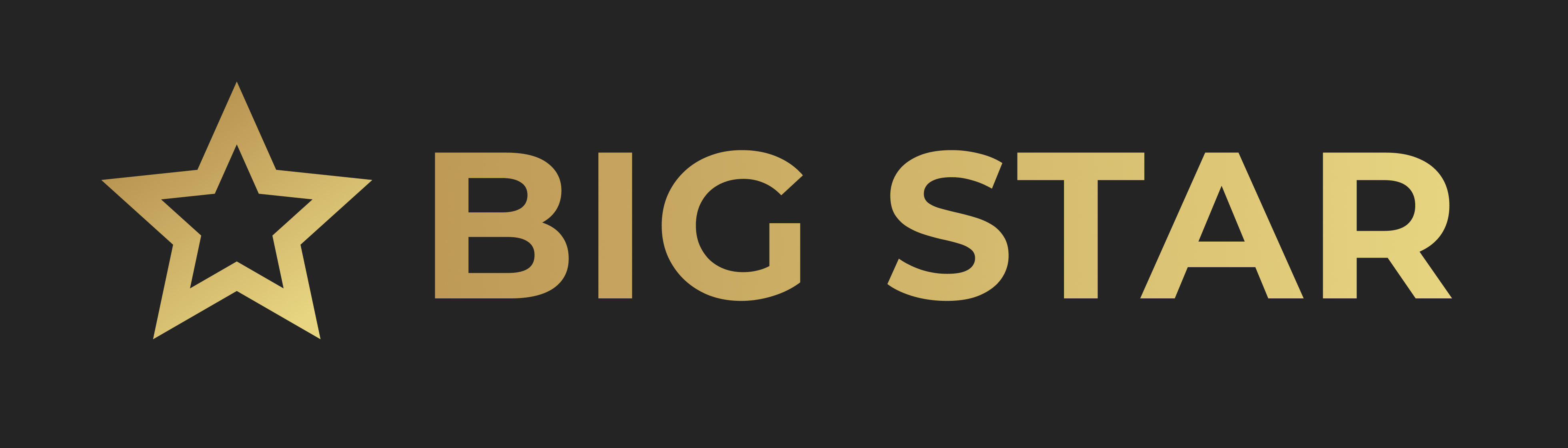 BigStar.in.ua